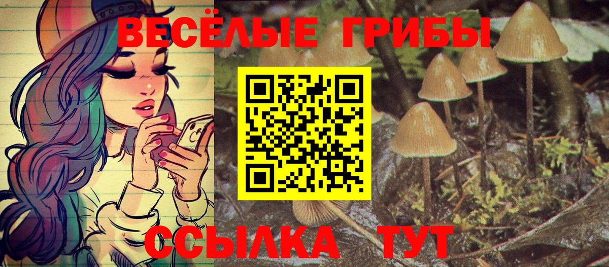 Унеча  Псилоцибиновые грибы Magic Shrooms  Вход с VPN 