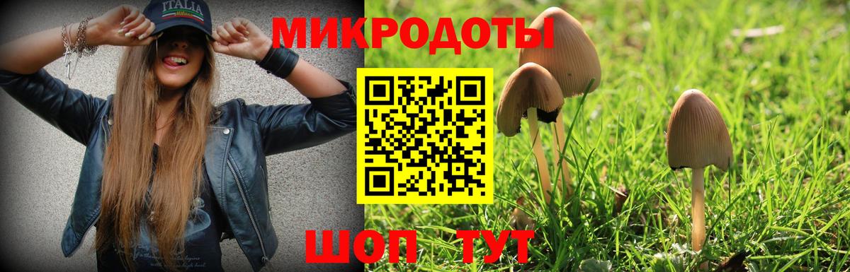 Псилоцибиновые грибы Psilocybe Унеча